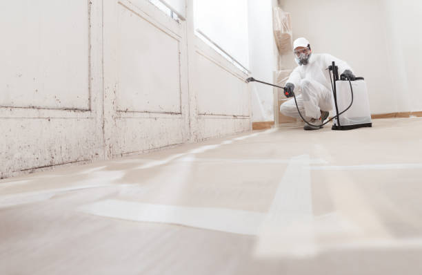 24/7 Emergency Mold Testing experts in Hardyville, VA
